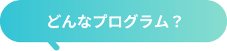 どんなプログラム？